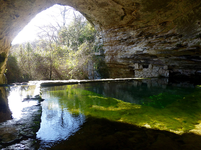 Randonnée Immersion Nature en Provence